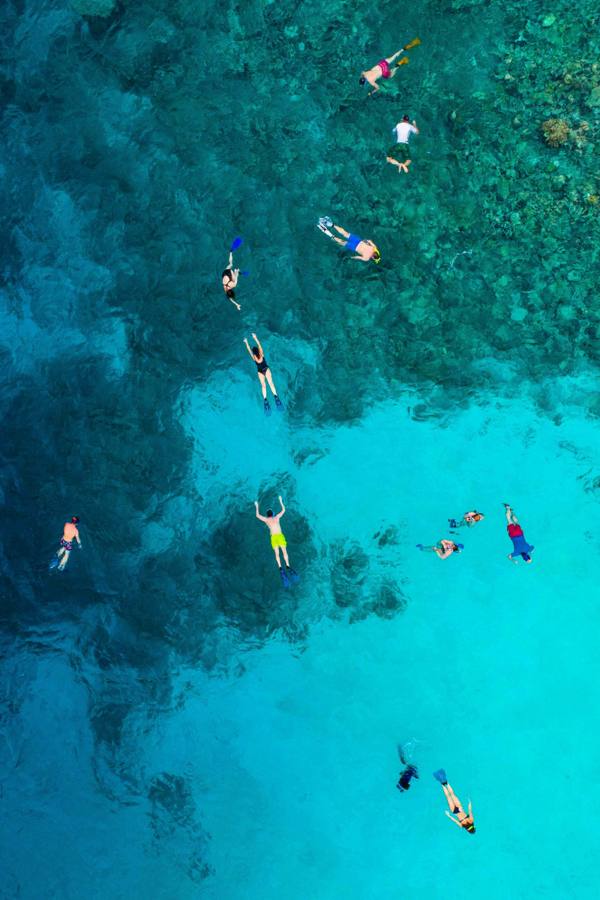 Snorkeling the reef